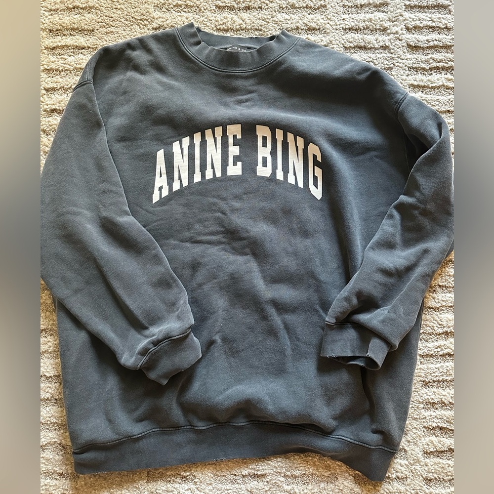 Anine Bing Tyler Sweatshirt in Washed Black Size S